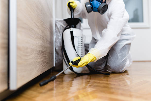 Best Bed Bug Extermination  in Pemberville, OH