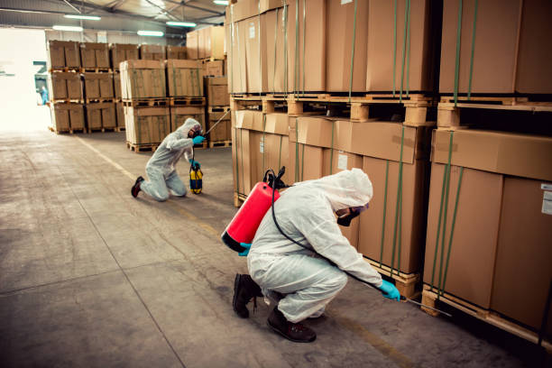 Best Affordable Pest Control Services  in Pemberville, OH