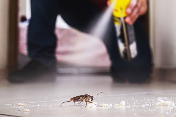Best Commercial Pest Control Services  in Pemberville, OH