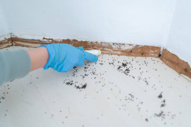 Best Pest Control Near Me in Pemberville, OH